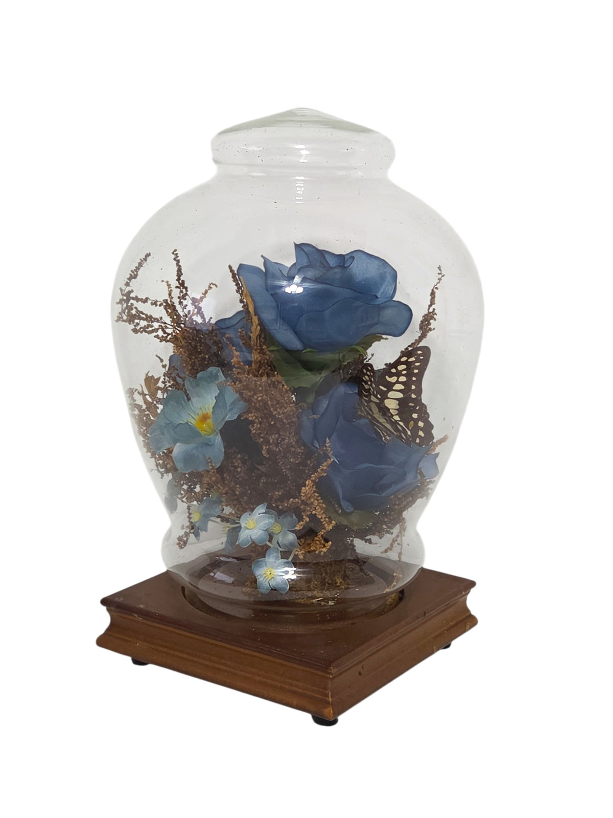 Glass dome cloche angled to the right, showing the seed bubbles in the glass and the molded wood base edge
