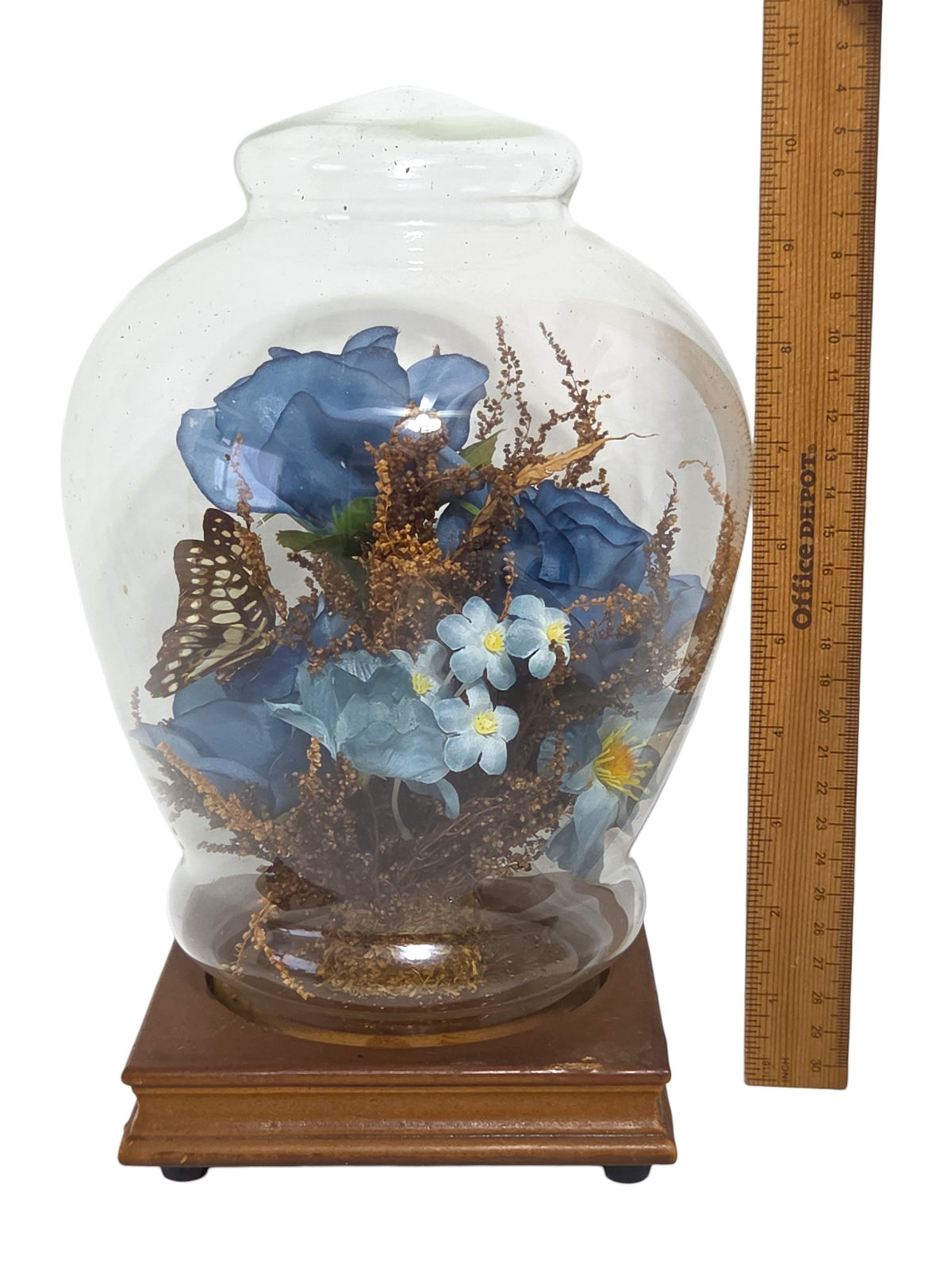 Vintage glass dome cloche beside a ruler, about 10 1/2 inches tall