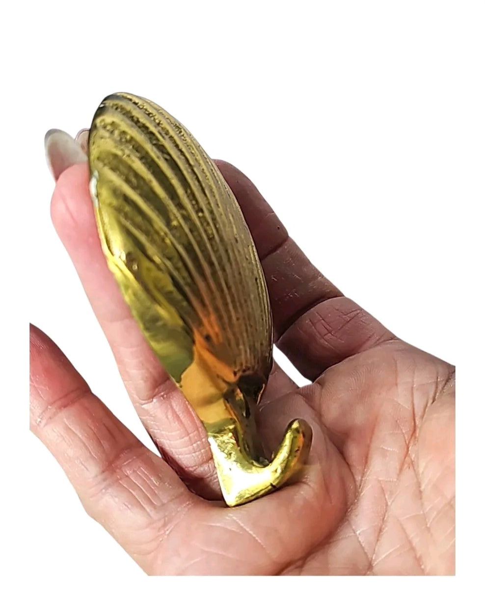 Oddly Darling Vintage brass wall hook shaped like a polished gold-tone scalloped seashell held in a hand.