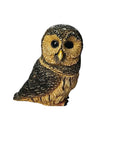 Oddly Darling Vintage owl trinket box in brown, charcoal, and cream resin with realistic hand-painted feather detail.