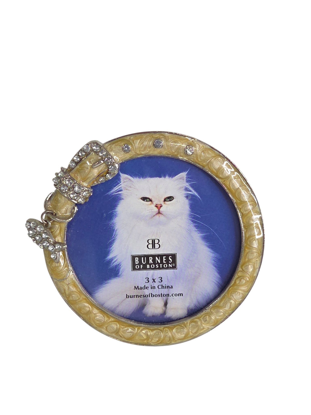 Oddly Darling Vintage Burnes of Boston cat collar round picture frame with rhinestone buckle and fish charm for a 3x3 photo.