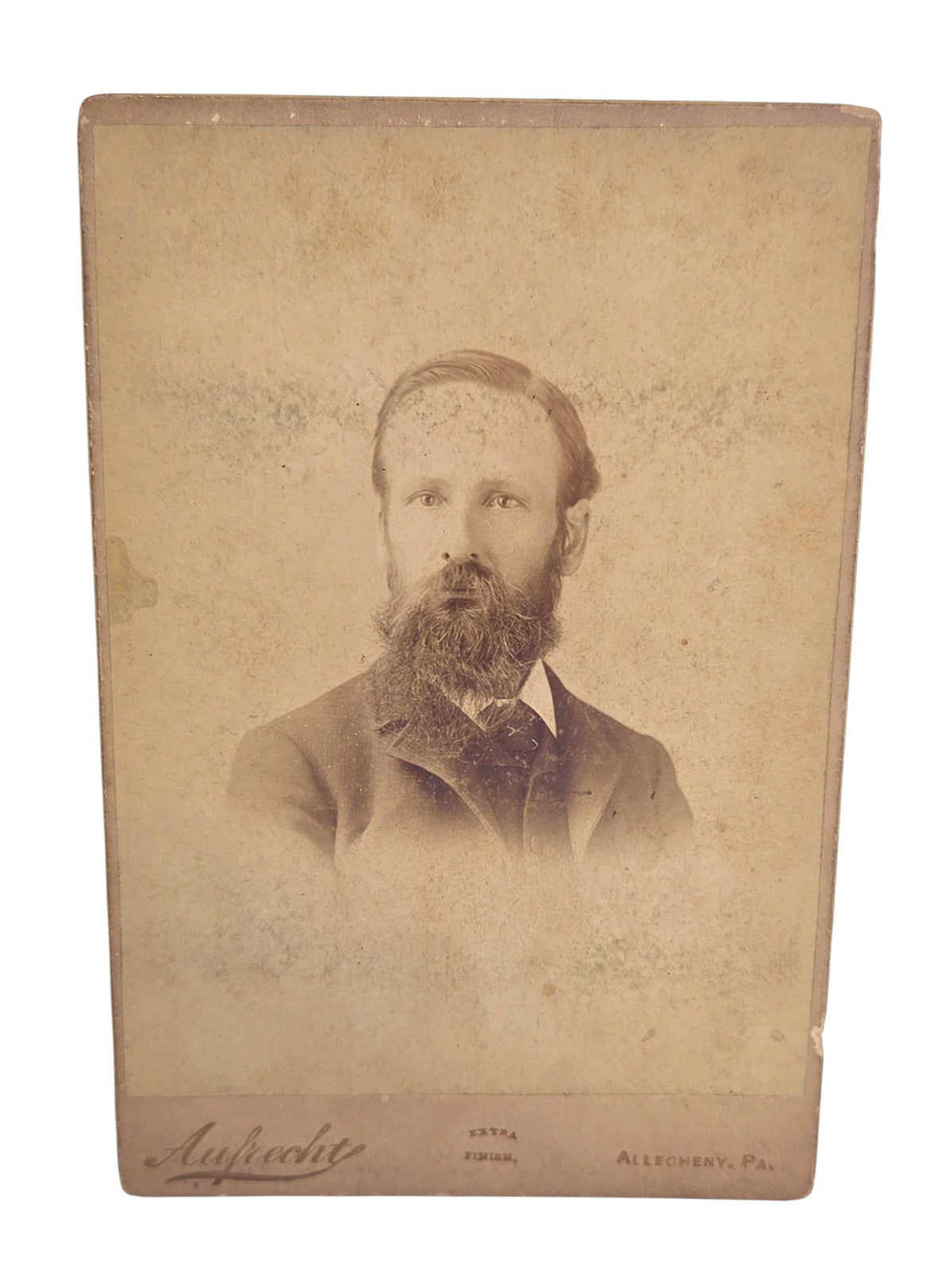 Oddly Darling Vintage antique Victorian cabinet card portrait of a bearded gentleman in sepia tones.